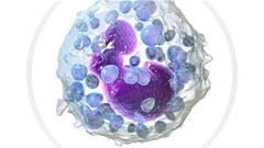 Course - General Biology II: The World of the Cell