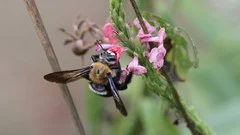 Course - Ms Cooper's IGCSE Biology: mastering the first 7 topics
