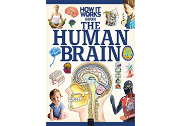 How It Works The Human Brain 1st Edition
